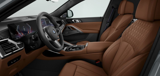 BMW X6 xDrive40d Diesel Grau