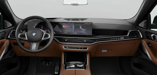 BMW X6 xDrive40d Diesel Grau