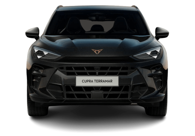 Cupra Terramar 1.5 eTSI MHEV 110kW DSG Benzin Schwarz