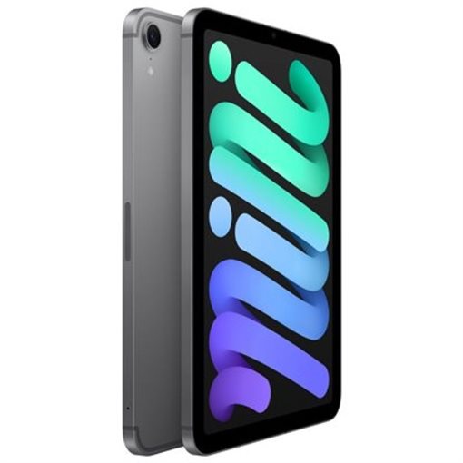 Apple iPad mini A17 Pro MXPN3NF/A 8,3Zoll 128GB Space-grau