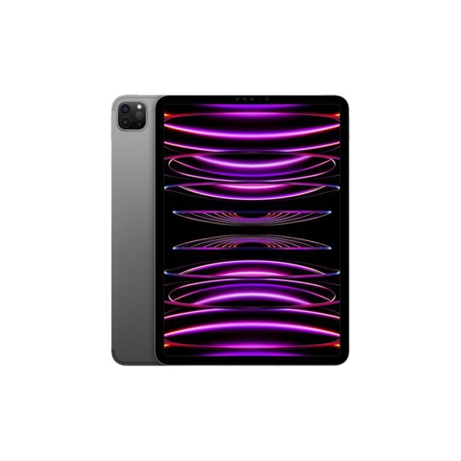Apple iPad Pro Wi-Fi+Cellular 4.Gen 256GB 27,9cm 11Zoll 3G, 4G, 5G spacegr.