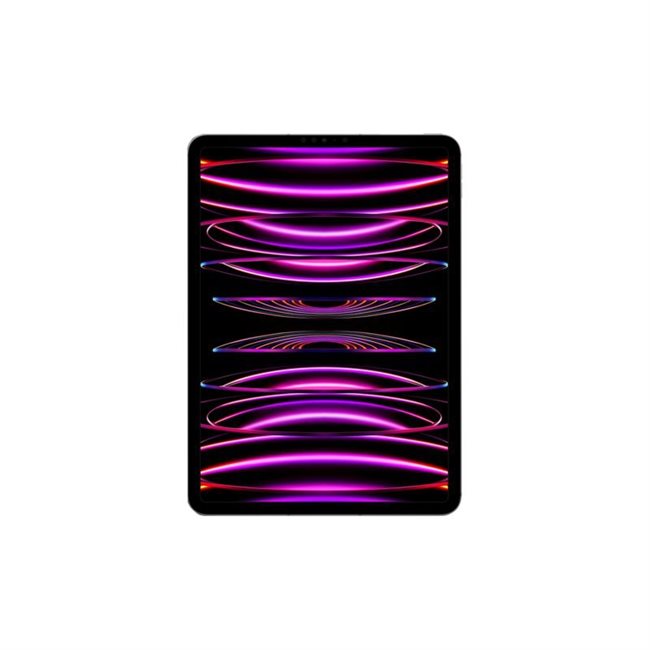 Apple iPad Pro Wi-Fi+Cellular 4.Gen 256GB 27,9cm 11Zoll 3G, 4G, 5G spacegr.
