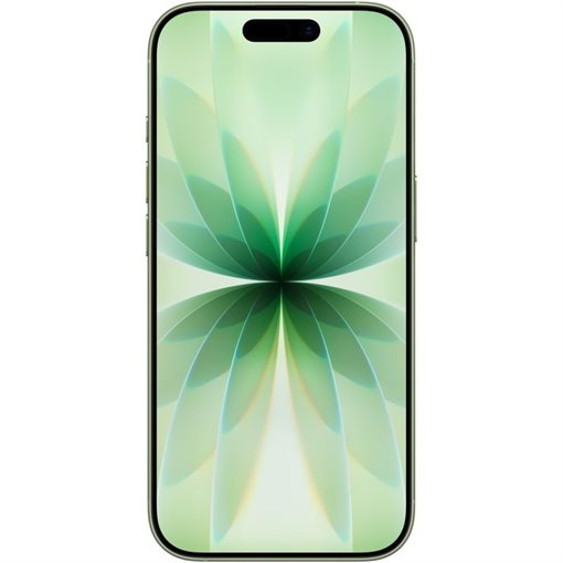 Apple iPhone 17 MG6N4ZD/A 256GB Salbeifarbe 16cm 6,3Zoll 5G