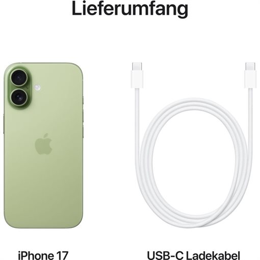 Apple iPhone 17 MG6V4ZD/A 512GB Salbeifarbe 16cm 6,3Zoll 5G