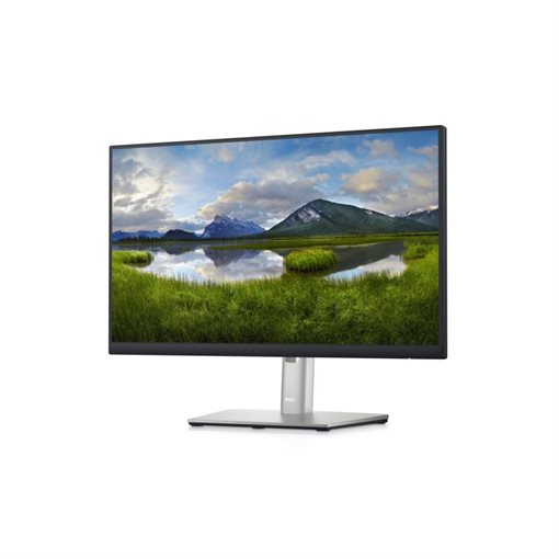 Dell P2223HC LED 54,6cm 21,5Zoll 1920x1080 Full HD 1080p @ 60Hz