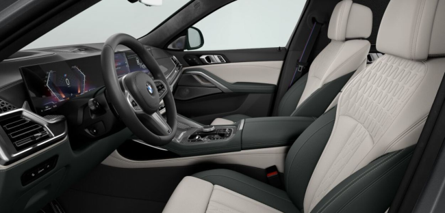 BMW X6 xDrive40d Diesel Grau