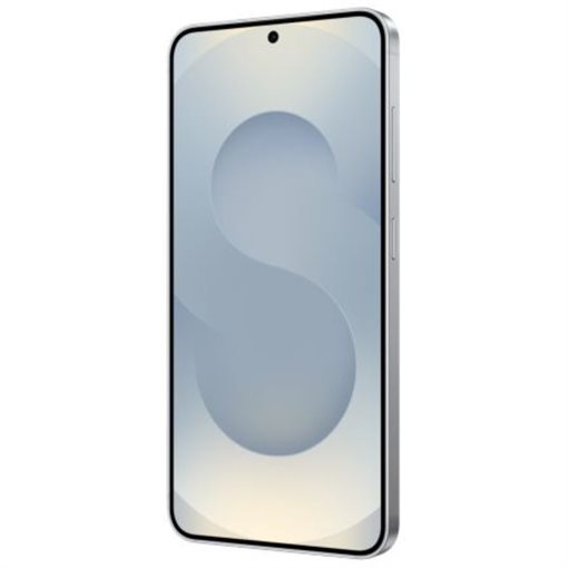 Samsung Galaxy S25 SM-S931BZSGEEB 12GB RAM 256GB Silver Shadow 15,64cm
