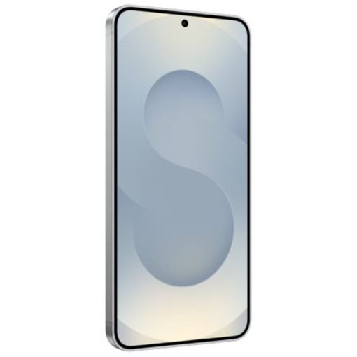 Samsung Galaxy S25 SM-S931BZSGEEB 12GB RAM 256GB Silver Shadow 15,64cm
