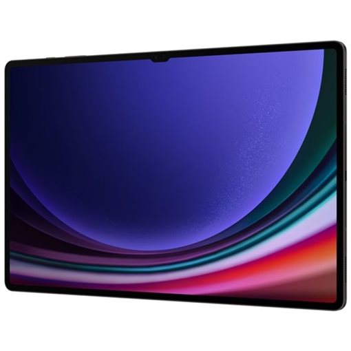 Samsung Galaxy Tab S9 Snapdragon 37,1cm 14,6Zoll 12GB 256GB Graphite