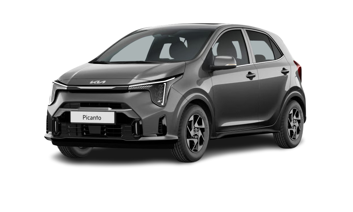 Kia Picanto 1.0 4-Sitzer Benzin Grau