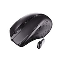 Cherry MW 3000 - Maus - Für Rechtshänder - Infrarot - 5 Tasten - kabellos