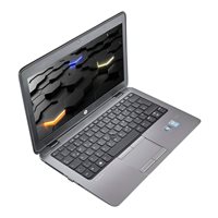 HP Elitebook 820 G1 - i5-4200U | 8GB 12,5 Zoll 500GB HDD
