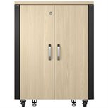 APC NetShelter Soundproof Serverschrank 17HE 230V Ahorn AR4017IA