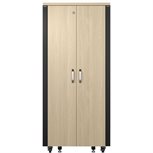 APC NetShelter Soundproof Serverschrank 32HE 230V Ahorn AR4032IA