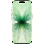 Apple iPhone 17 MG6N4ZD/A 256GB Salbeifarbe 16cm 6,3Zoll 5G