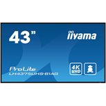iiyama ProLite 109cm 43Zoll 3840x2160Pixel 4K