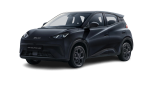 BYD Dolphin Surf 43.2kWh Elektro Schwarz
