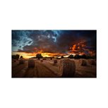Samsung VM55B-U 140cm 55Zoll LCD 1080p 1920x1080